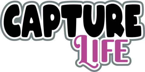 Capture Life - Digital Cut File - SVG - INSTANT DOWNLOAD